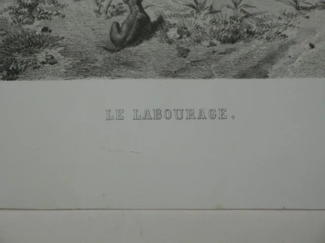 Paysage le " le labourage", lithographie, époque 19ème