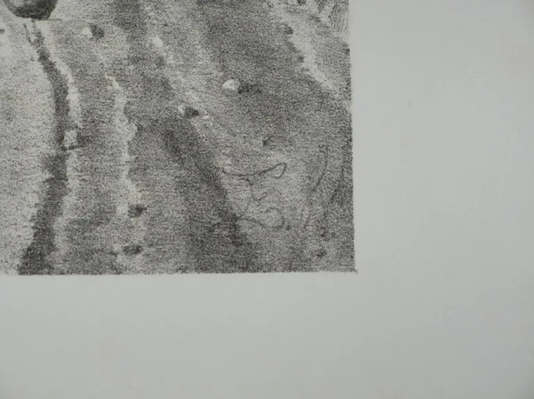 Paysage le " le labourage", lithographie, époque 19ème