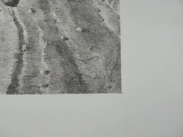 Paysage le " le labourage", lithographie, époque 19ème