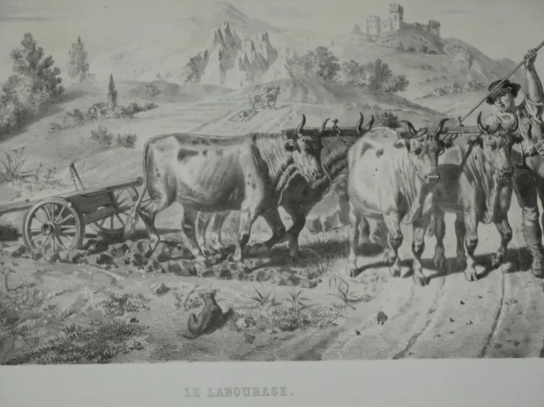 Paysage le " le labourage", lithographie, époque 19ème