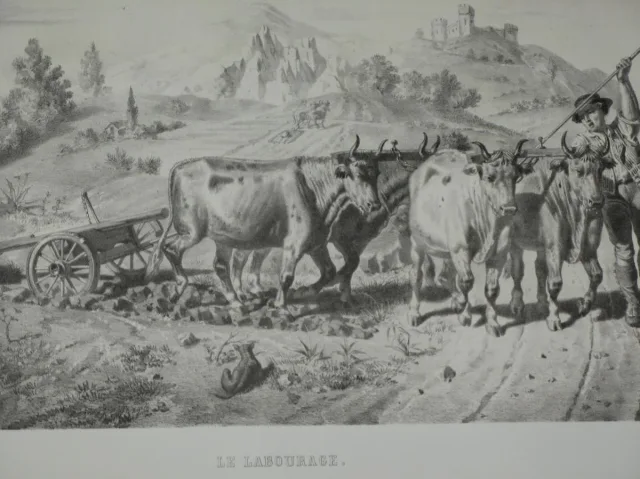 Paysage le " le labourage", lithographie, époque 19ème