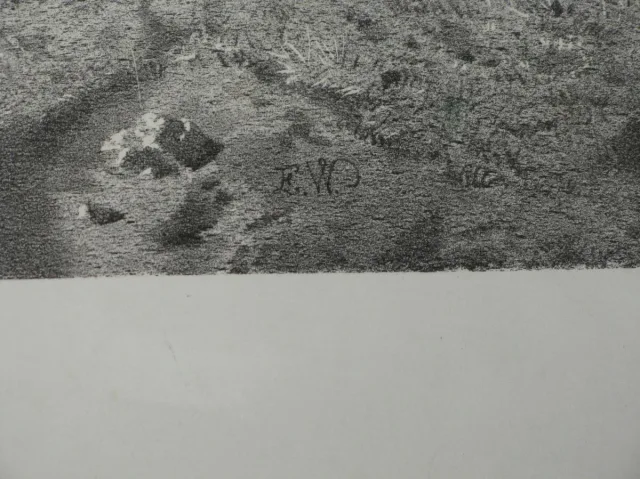XIX C LITOGRAFÍA