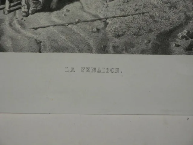 XIX C LITOGRAFÍA