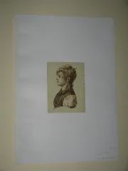 19 C INK И SEPIA ЧЕРТЕЖ