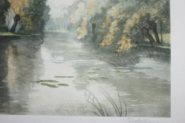 Cygnes Sur Une Rivière, Eau Forte époque 20ème.