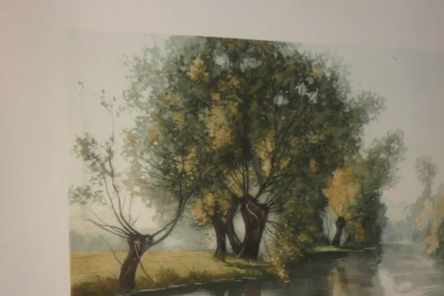 Cygnes Sur Une Rivière, Eau Forte époque 20ème.