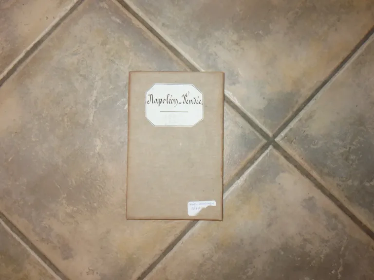 Carte Routière, Dépliante, Entoilée, "napoléon Vendée ", époque 19ème