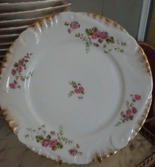 Suite d'assiettes en porcelaine décoré Limoges fin XIXème