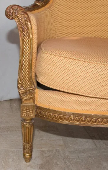 ЛУЙСКАЯ XVI СТИЛЬНАЯ АРМИЯ