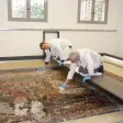 Aubusson Tapisseries Galerie Dor présente une chasse manufacture Royale