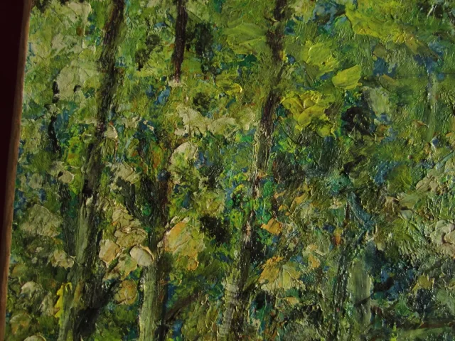 PAESAGGIO DI JULIEN WALLARD