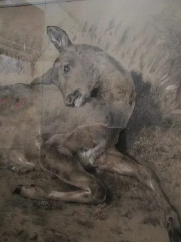 DRAWING SIGNED PIERRE MOUSSET