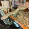 Sculpture aigle