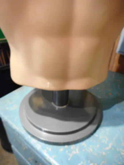 SIEGEL BUST