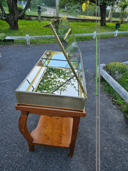 Siégel: Flat Brass Display Cabinet On Table.