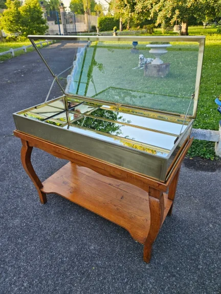 Siégel: Flat Brass Display Cabinet On Table.