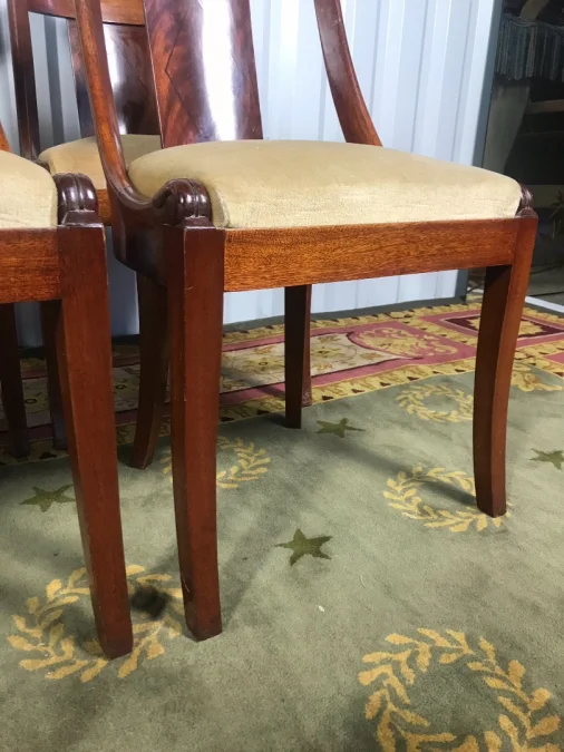 FRENCH CHAIRS