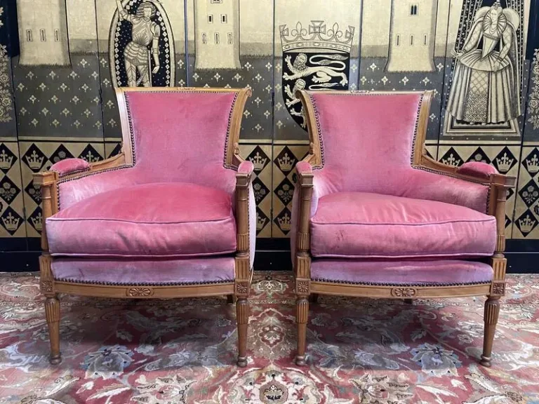 Paire de fauteuils - bergères de style Louis XVI