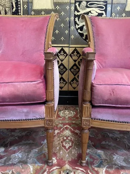 Paire de fauteuils - bergères de style Louis XVI