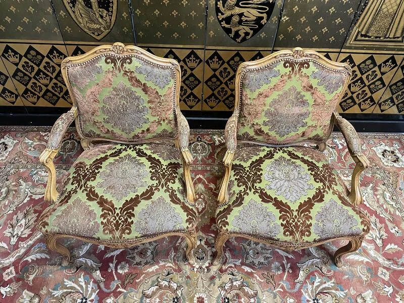 Pair of Louis XV style cabriolet armchairs in genu velvet