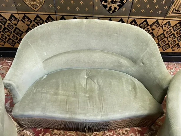 Living room sofa and Napoleon III style toad armchairs