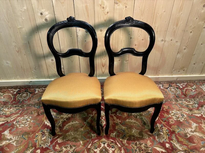 Pair of Napoleon III chairs