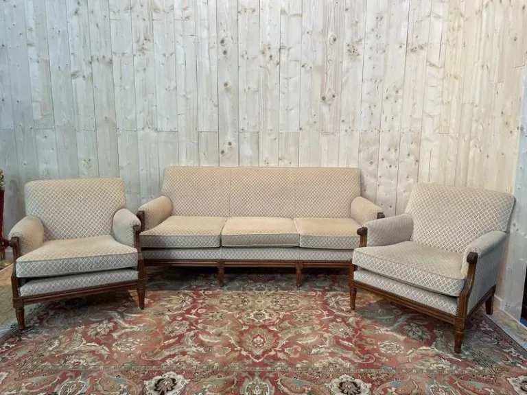 Salon Louis XVI Canapé et Paire de Bergères