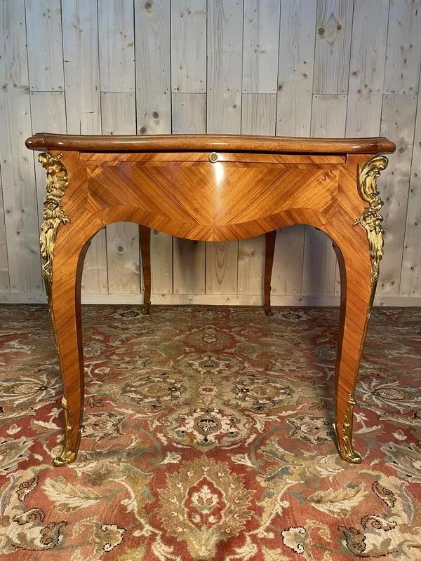 LOUIS XV STYLE MIDDEN Flat Office
