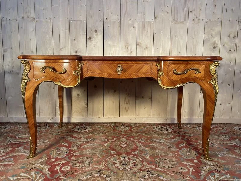 LOUIS XV STYLE MIDDEN Flat Office