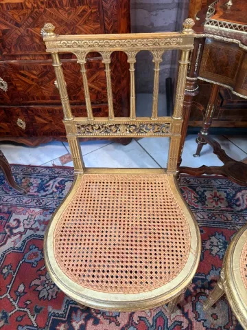 PAIR OF LOUIS XVI STYLE CHAIRS