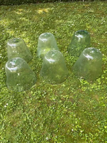 GLASGARTENGLÖCKE