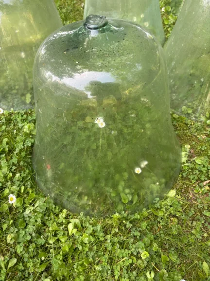 GLASGARTENGLÖCKE