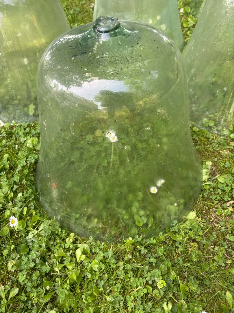 ENSEMBLE DE SEPT CLOCHES DE JARDIN OU JARDINIER
