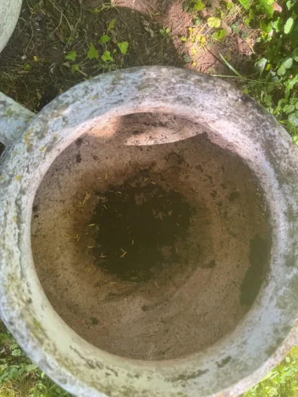 Paar Jardiniere