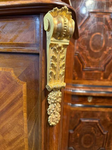 BIBLIOTHEK-VITRINE IM STIL LOUIS XVI — Guter Zustand
