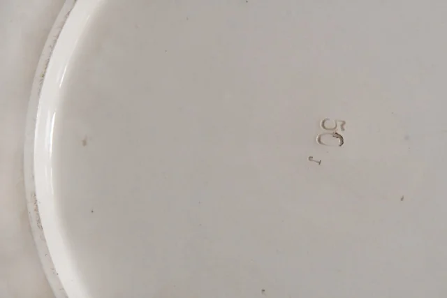 Large faience dish decorated with a parrot — Very good condition