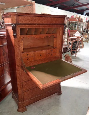Charles X fall-front secrétaire in elm burl – 19th century — Fair condition
