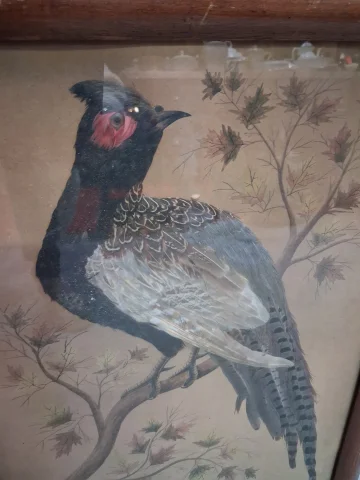 Pair of Napoléon III Naturalistic Featherwork Panels Depicting Pheasants — Good condition