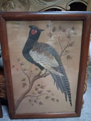 Pair of Napoléon III Naturalistic Featherwork Panels Depicting Pheasants — Good condition