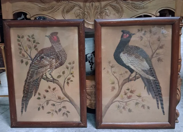 Pair of Napoléon III Naturalistic Featherwork Panels Depicting Pheasants — Good condition