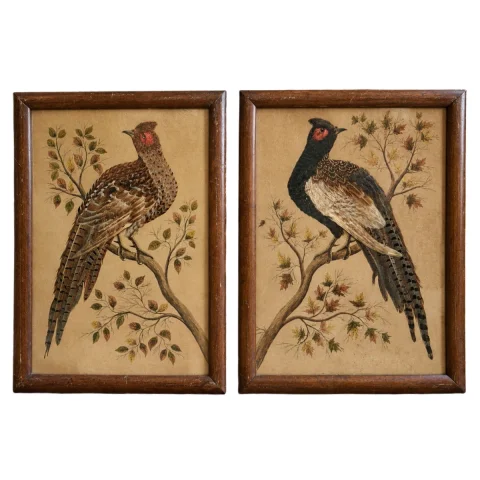 Pair of Napoléon III Naturalistic Featherwork Panels Depicting Pheasants — Good condition