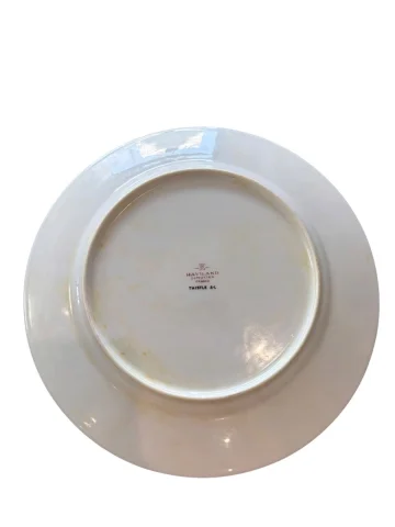 Haviland Thistle dinerbord – Porselein, 24,7 cm, 20e eeuw — Zeer goede staat