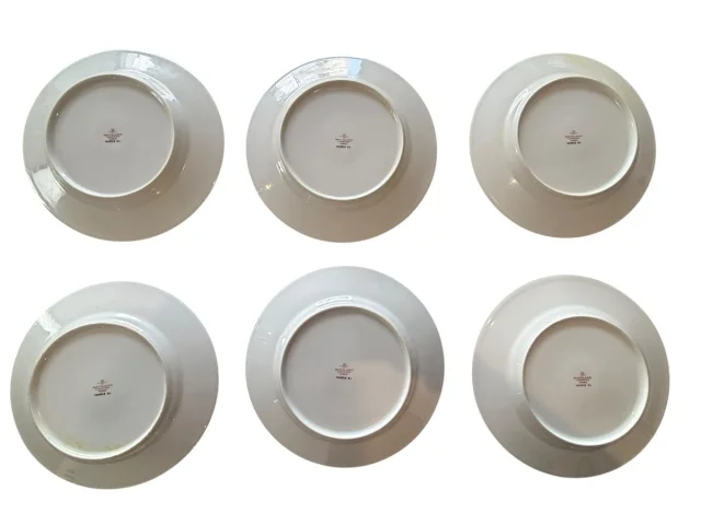 Set van 6 Platte Borden Haviland Thistle – Porselein 24,7 cm — Zeer goede staat