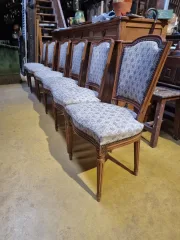 Set  of 6 Directoire style chairs i