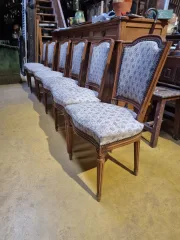 Set  of 6 Directoire style chairs i