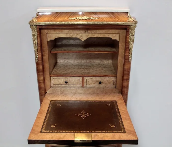 NAPOLEON III ZEITSCHRIFT