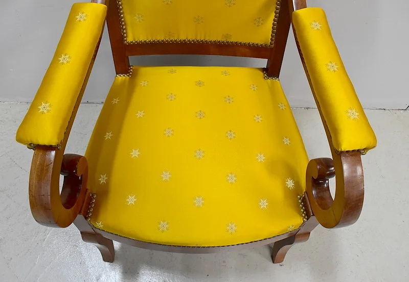 Directoire Office Chair - XIXth