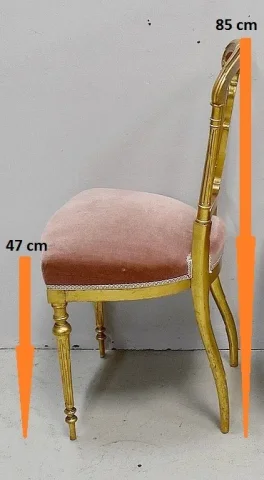 PAIR OF NAPOLEON III PERIOD CHAIRS