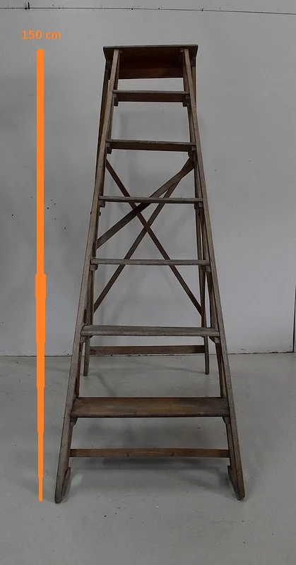 PAINTER'S STEPS