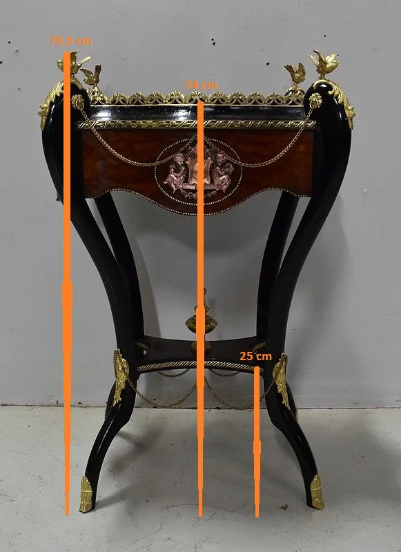 Jardinière en Placage de Ronce de Thuya et bois noirci, époque Napoléon III – XIXe